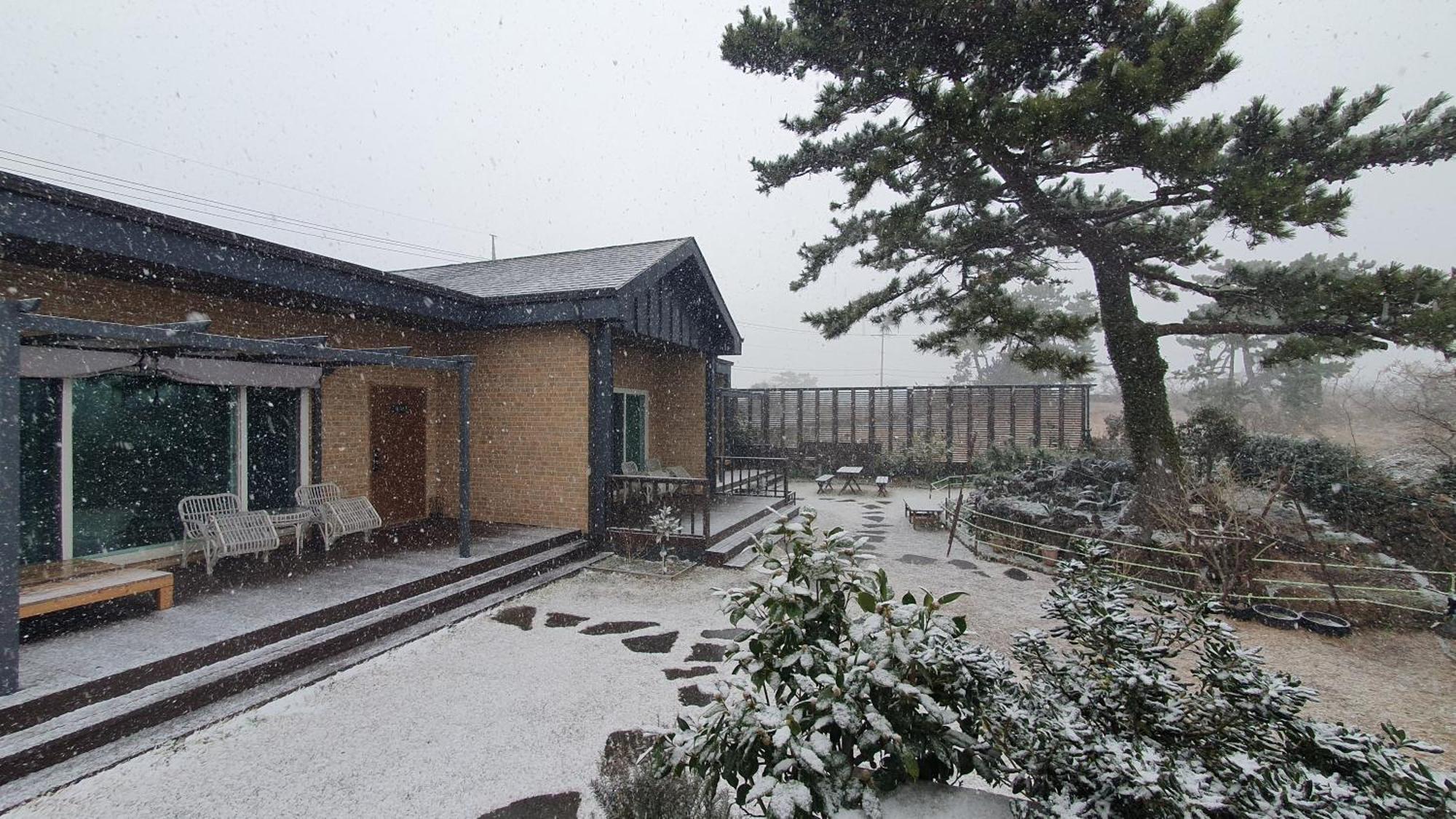 Wind Jeju Cafe & Pension Seogwipo Luaran gambar
