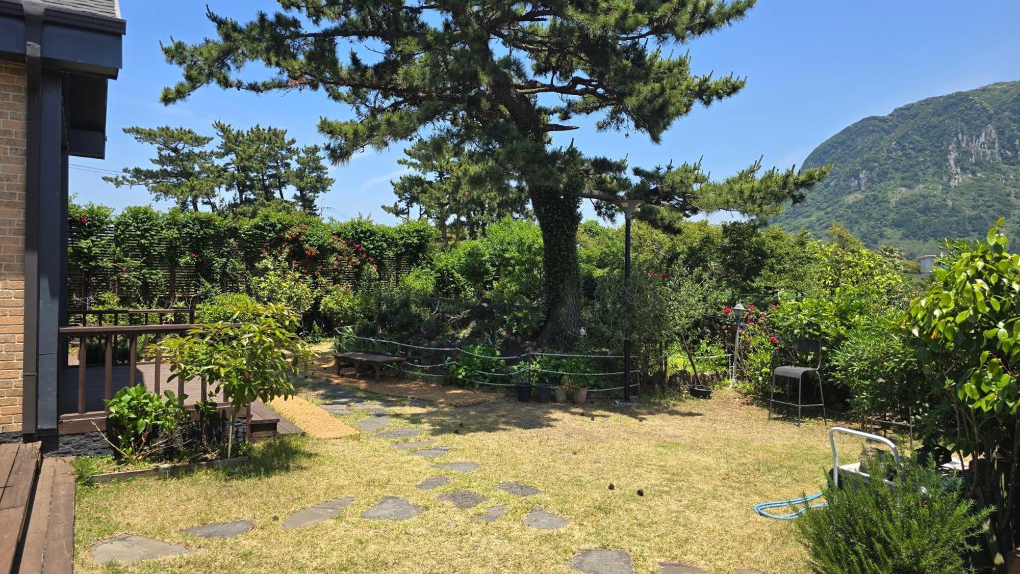Wind Jeju Cafe & Pension Seogwipo Luaran gambar