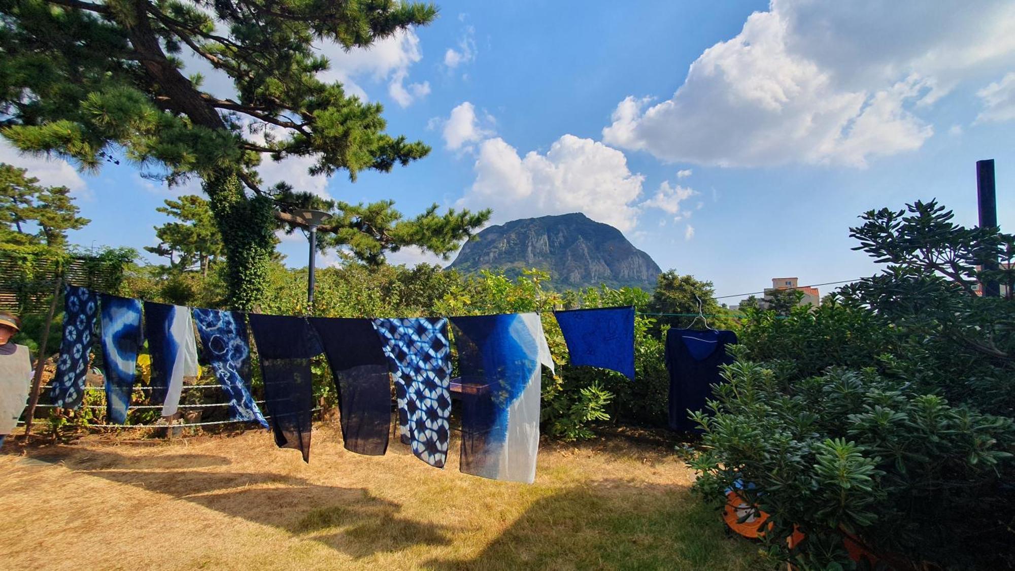 Wind Jeju Cafe & Pension Seogwipo Luaran gambar