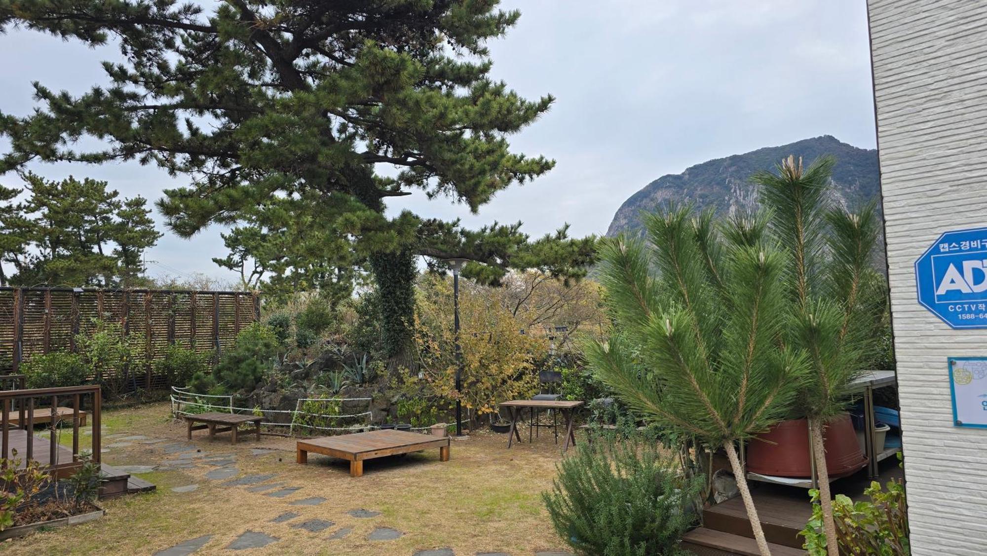 Wind Jeju Cafe & Pension Seogwipo Luaran gambar