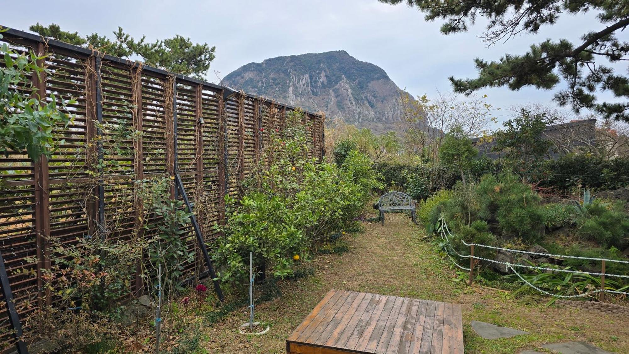 Wind Jeju Cafe & Pension Seogwipo Luaran gambar