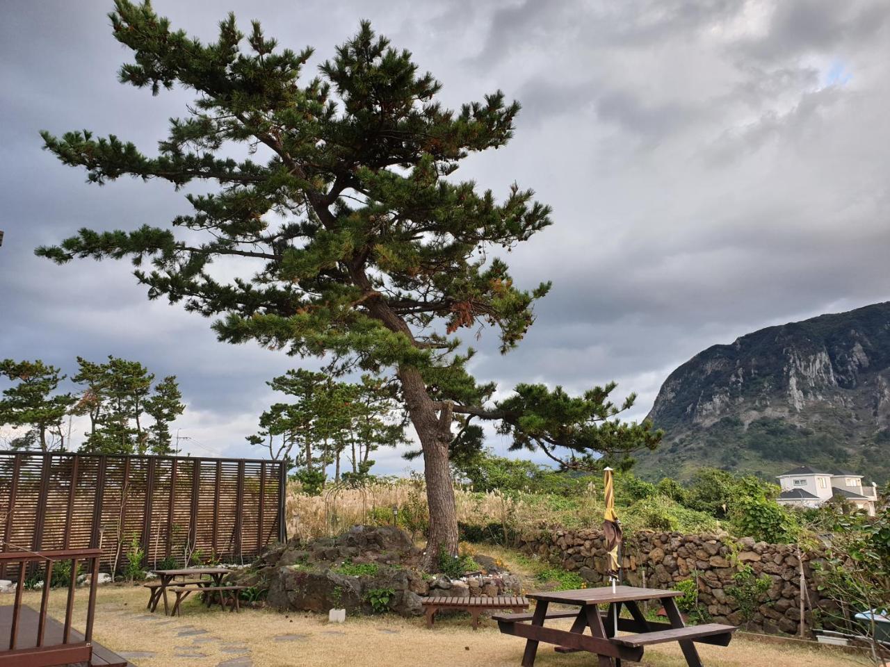 Wind Jeju Cafe & Pension Seogwipo Luaran gambar