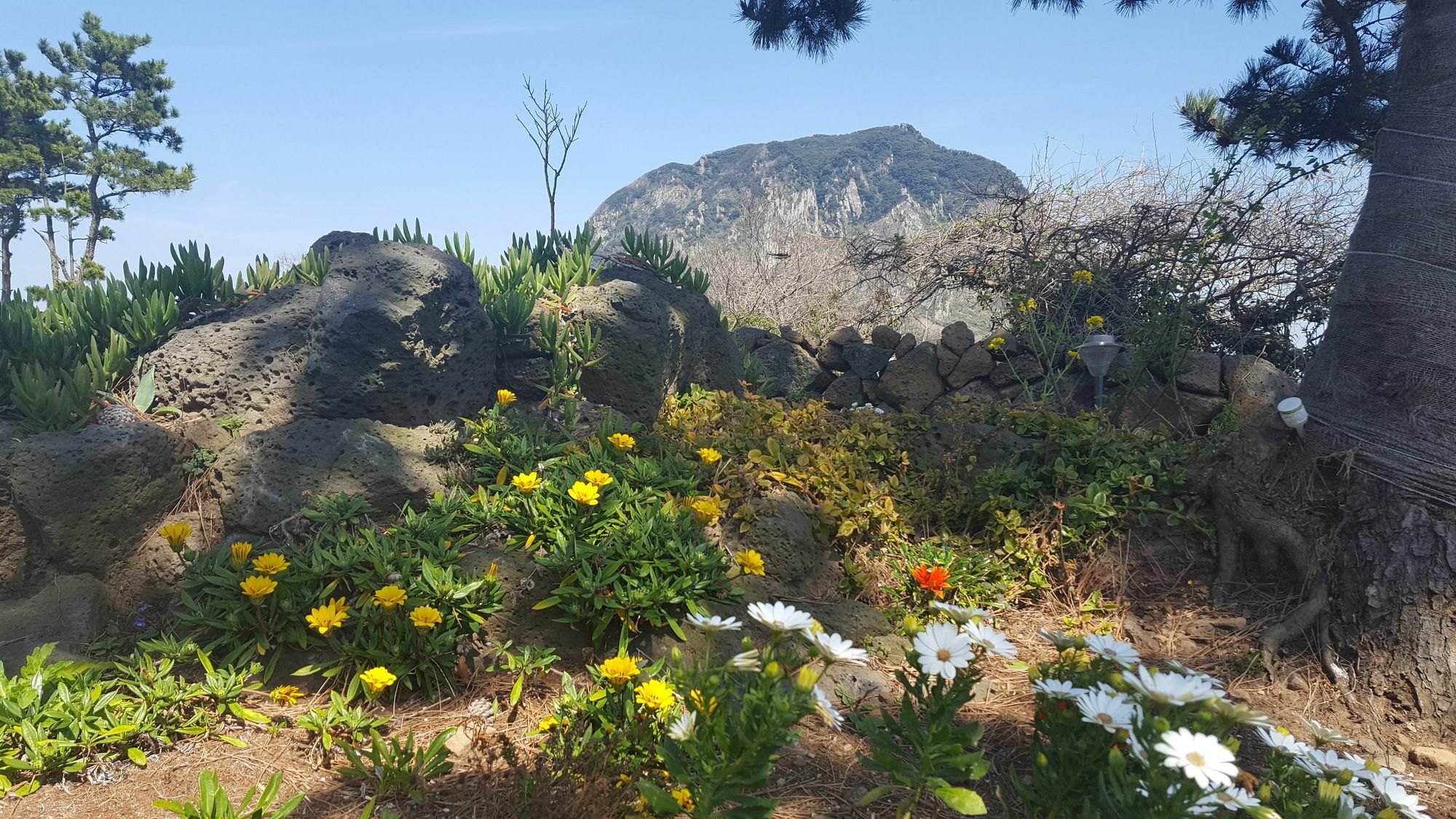 Wind Jeju Cafe & Pension Seogwipo Luaran gambar