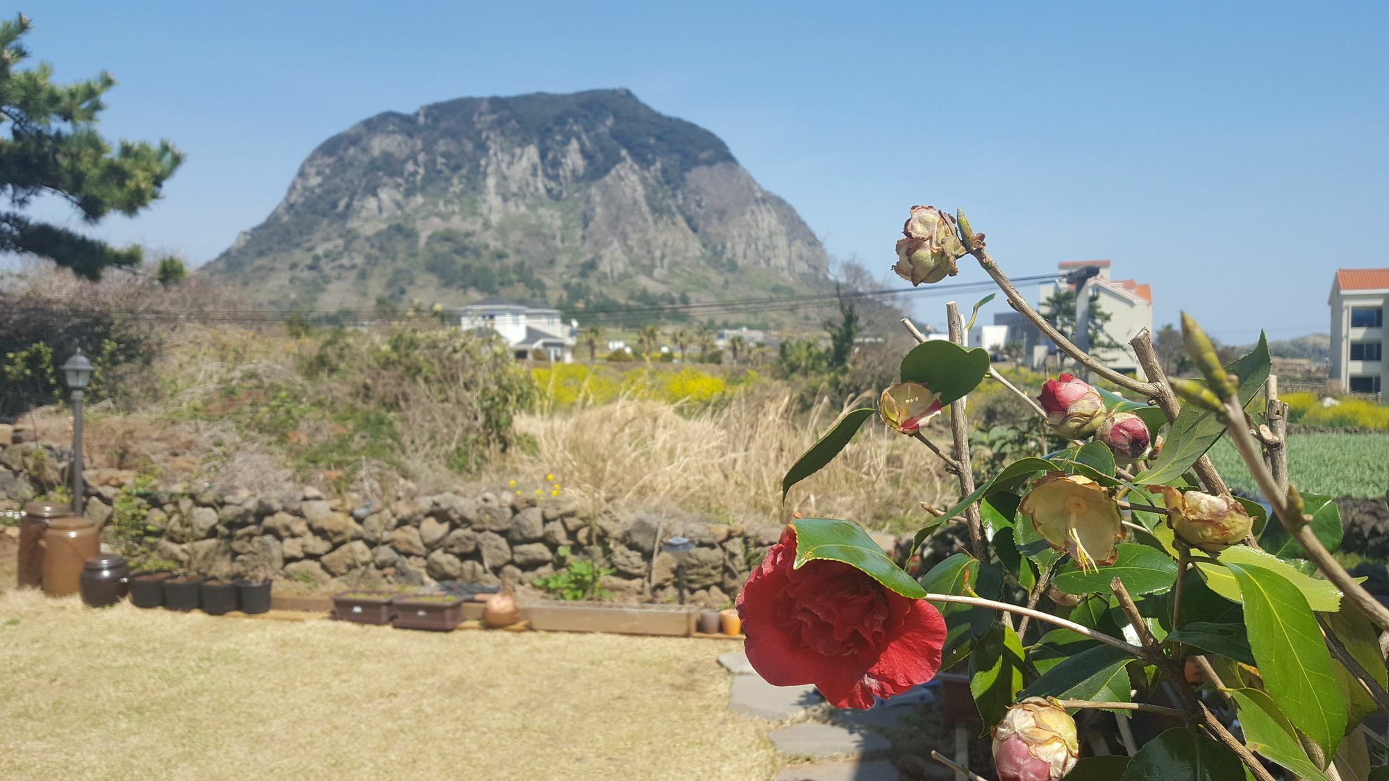 Wind Jeju Cafe & Pension Seogwipo Luaran gambar