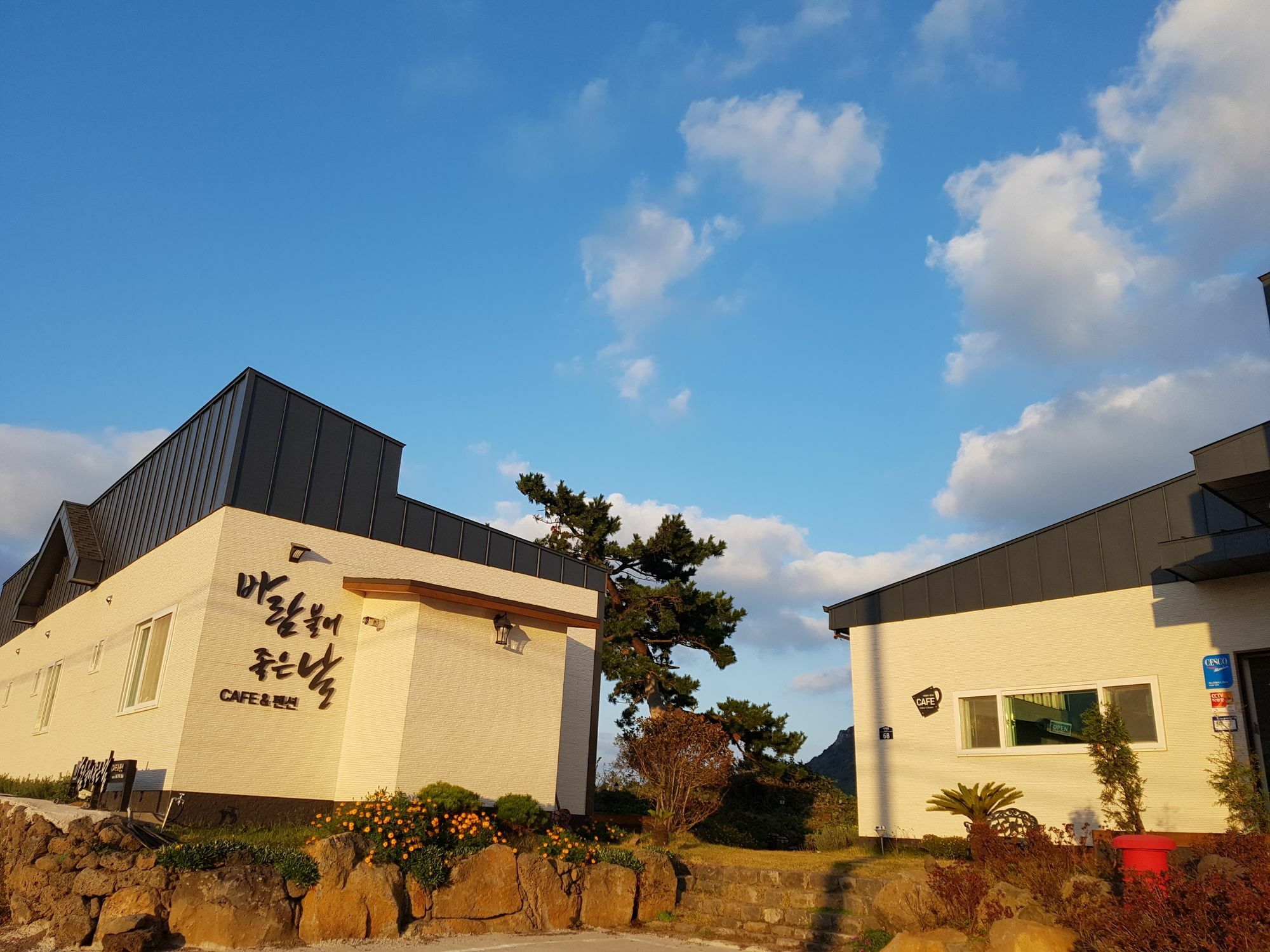 Wind Jeju Cafe & Pension Seogwipo Luaran gambar